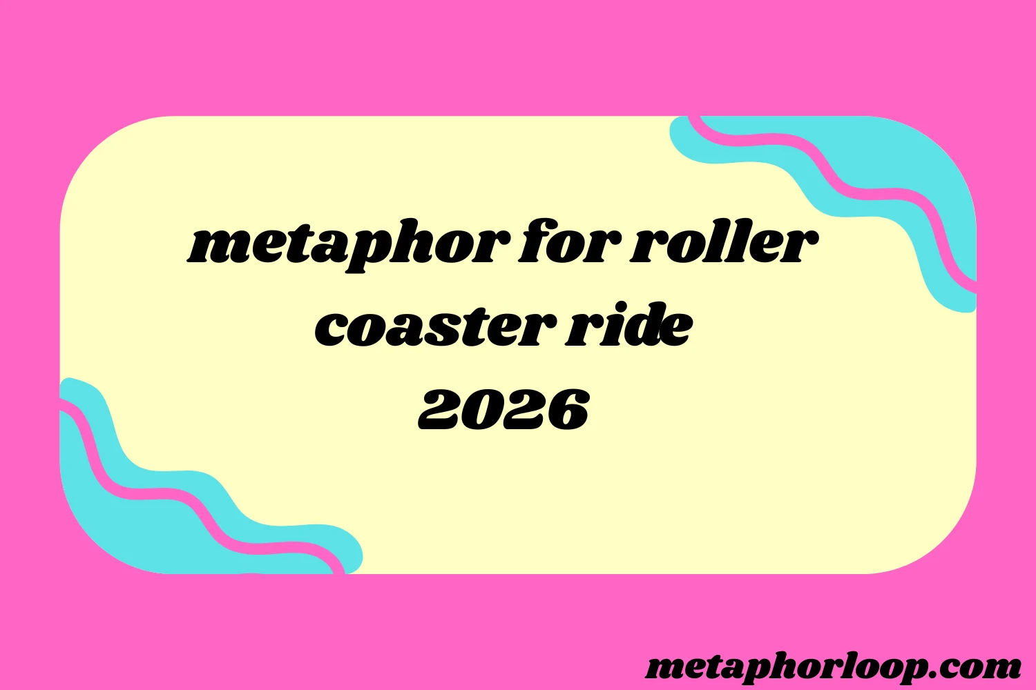 metaphor for roller coaster ride