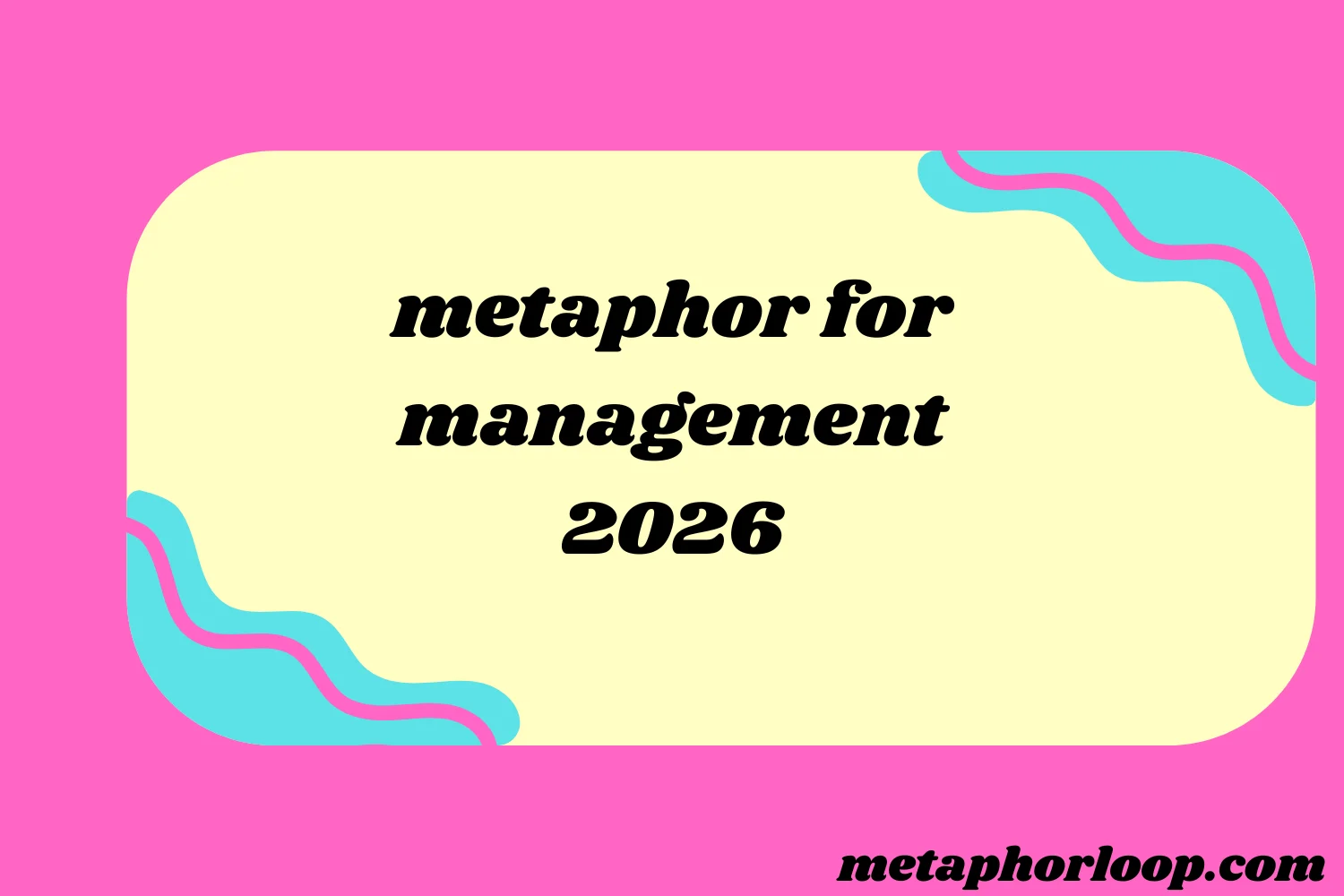 metaphor for management